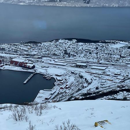 Apartamento Narvik Sentrum Exterior foto